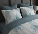 0750EE55-FD03-430D-8148-0817CAD85981.webp