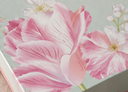 657B3054-3DD8-4860-A1BC-1A2B24F46887.webp